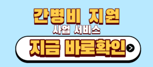 간병비 지원 서비스 사업 | 월 71만원 정부지원금 받는 조건 3 간병비 지원 사업 서비스