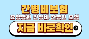 간병인보험 요양병원 간병비 보장 | 5가지 꼭 확인해야합니다 2 요양병원 간병비 간병인 보험