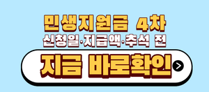 민생지원금 4차